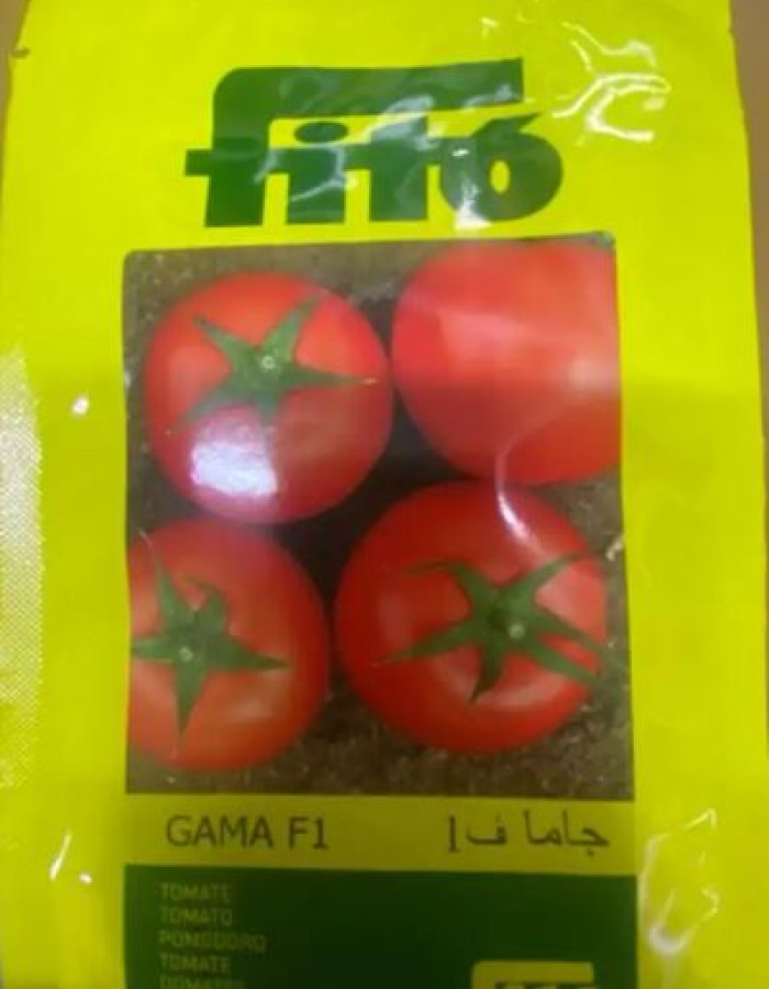 بذور فواكة وخضار وورد اسباني وامريكي