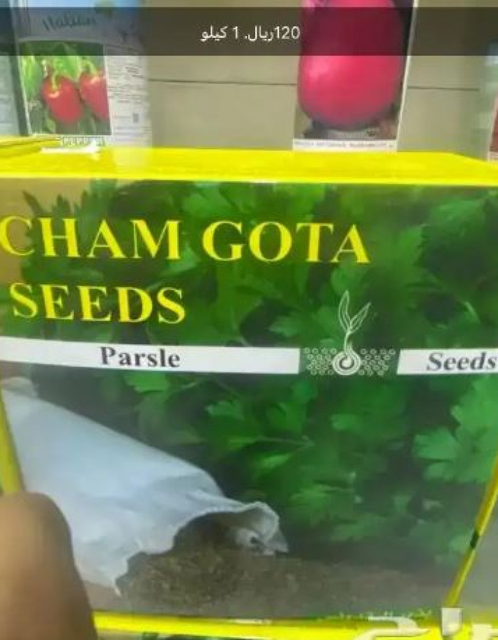 بذور فواكة وخضار وورد اسباني وامريكي