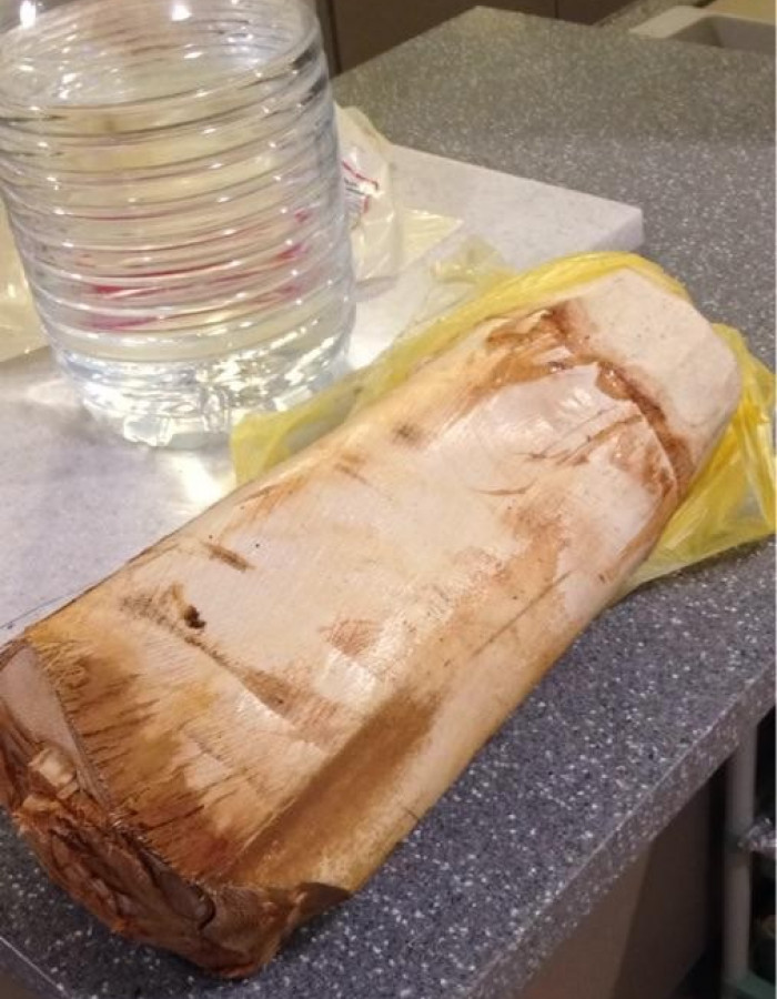 قلب نخل - جذب نخل - لب نخل - جمار نخل - شحم نخل للبيع قلب نخل - جذب نخل - لب نخل - جمار نخل - شحم نخل للبيع