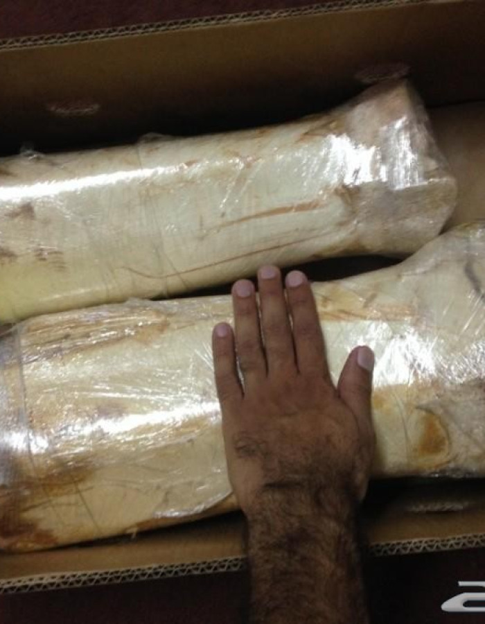 قلب نخل - جذب نخل - لب نخل - جمار نخل - شحم نخل للبيع قلب نخل - جذب نخل - لب نخل - جمار نخل - شحم نخل للبيع