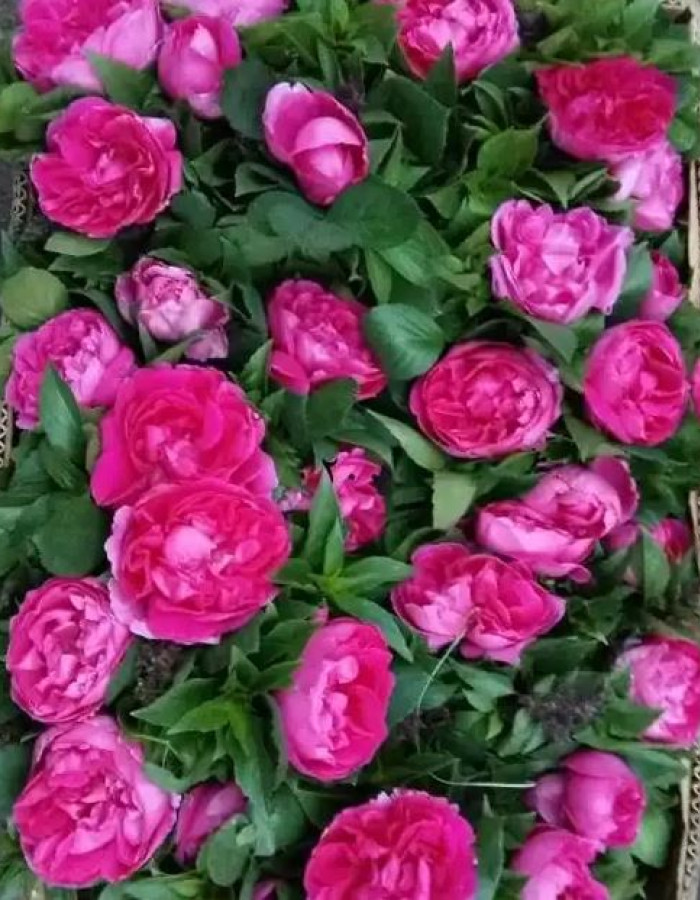 باقة ورد طبيعي جوري محلي