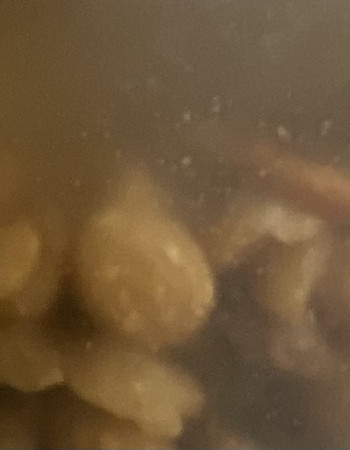 Akpi Seeds Akpi Seeds