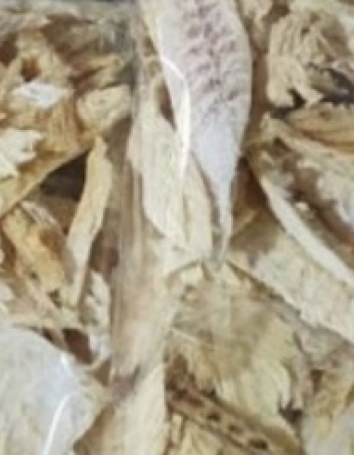 سمك شعري و صافي وربيان مجفف سمك شعري و صافي وربيان مجفف