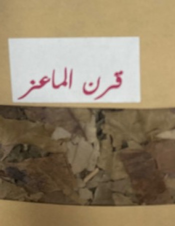 عشبة العنزة القرنية  عشبة العنزة القرنية