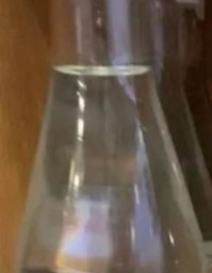 ماء ورق الغار 