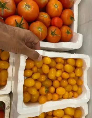 Yellow Pear Cherry Tomato  Yellow Pear Cherry Tomato