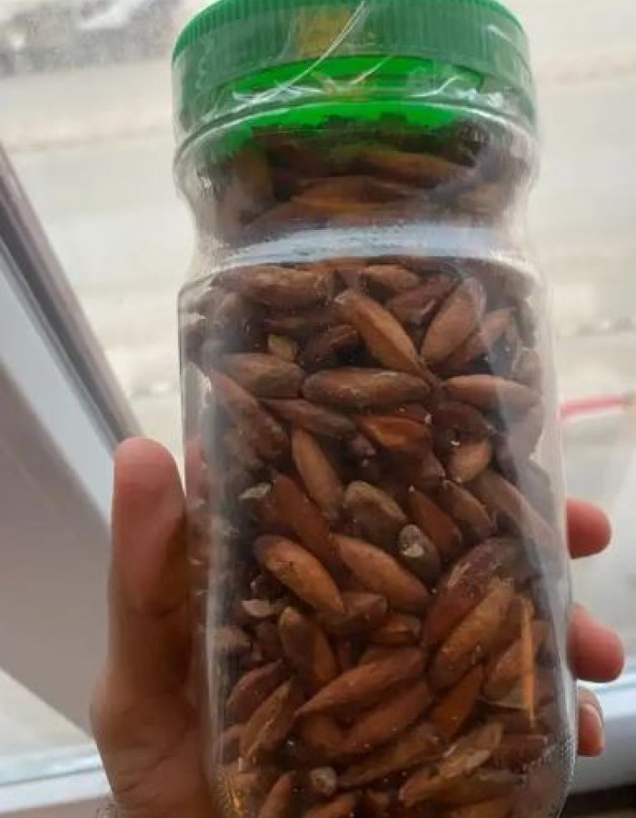 بيذام لوز بجلي