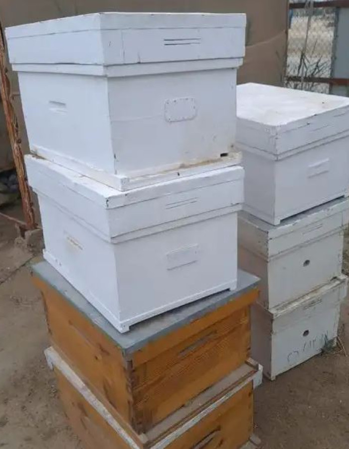 Beehive for sale